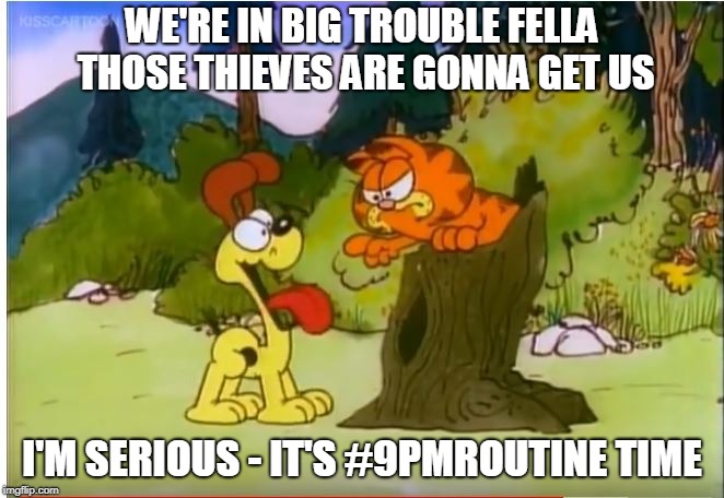 WE'RE IN BIG TROUBLE FELLA THOSE THIEVES ARE GONNA GET US; I'M SERIOUS - IT'S #9PMROUTINE TIME | image tagged in garfield | made w/ Imgflip meme maker