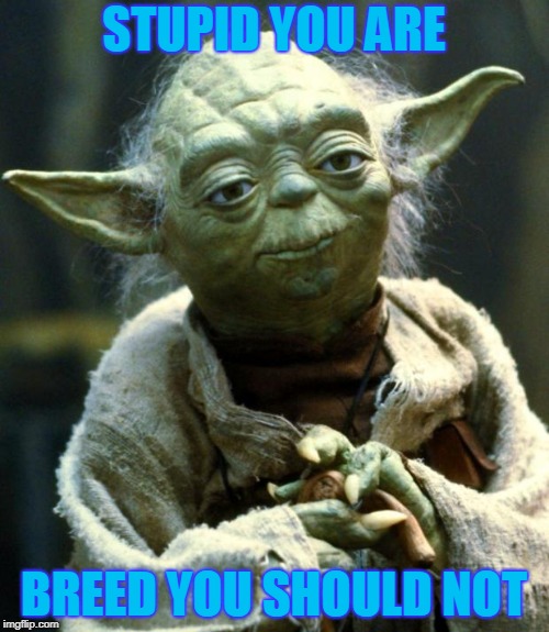 Star Wars Yoda Meme | STUPID YOU ARE BREED YOU SHOULD NOT | image tagged in memes,star wars yoda | made w/ Imgflip meme maker
