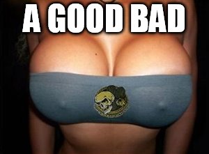big boobs | A GOOD BAD | image tagged in big boobs | made w/ Imgflip meme maker