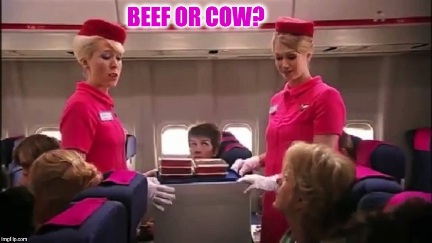 Vegan Airlines - Repost Week - A Pipe_Picasso event | BEEF OR COW? | image tagged in repost week,air afrikaans,yayaya | made w/ Imgflip meme maker
