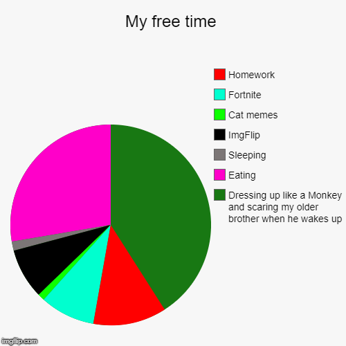 My free time | Dressing up like a Monkey and scaring my older brother when he wakes up, Eating, Sleeping, ImgFlip, Cat memes, Fortnite, Home | image tagged in funny,pie charts | made w/ Imgflip chart maker