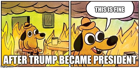 This is Fine (Blank) | THIS IS FINE; AFTER TRUMP BECAME PRESIDENT | image tagged in this is fine blank | made w/ Imgflip meme maker