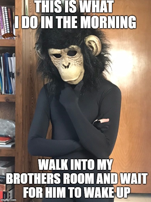 I scared the crap out of him one day
I have no remaining fun submissions so I had to put it under "politics" | THIS IS WHAT I DO IN THE MORNING; WALK INTO MY BROTHERS ROOM AND WAIT FOR HIM TO WAKE UP | image tagged in monkey business | made w/ Imgflip meme maker