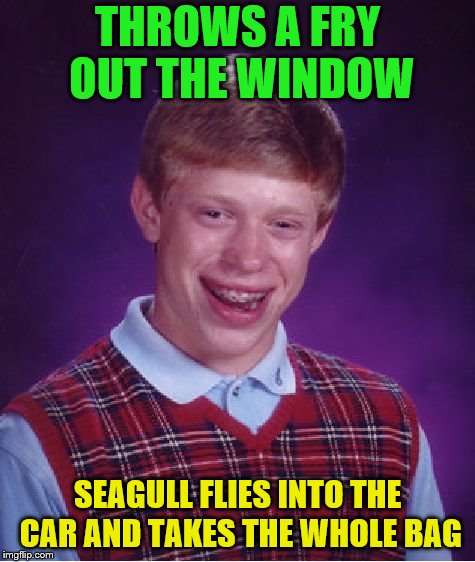 Bad Luck Brian Meme | THROWS A FRY OUT THE WINDOW SEAGULL FLIES INTO THE CAR AND TAKES THE WHOLE BAG | image tagged in memes,bad luck brian | made w/ Imgflip meme maker