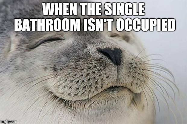 Satisfied Seal | WHEN THE SINGLE BATHROOM ISN'T OCCUPIED | image tagged in memes,satisfied seal | made w/ Imgflip meme maker