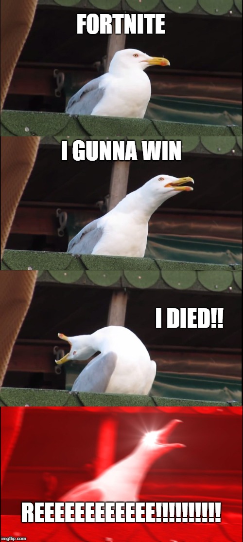 Inhaling Seagull Meme | FORTNITE; I GUNNA WIN; I DIED!! REEEEEEEEEEEE!!!!!!!!!! | image tagged in memes,inhaling seagull | made w/ Imgflip meme maker