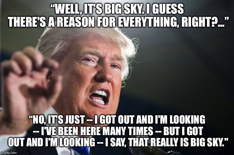 Who writes Trumps speeches? | “WELL, IT'S BIG SKY. I GUESS THERE'S A REASON FOR EVERYTHING, RIGHT?...”; “NO, IT'S JUST -- I GOT OUT AND I'M LOOKING -- I'VE BEEN HERE MANY TIMES -- BUT I GOT OUT AND I'M LOOKING -- I SAY, THAT REALLY IS BIG SKY." | image tagged in donald trump,memes | made w/ Imgflip meme maker