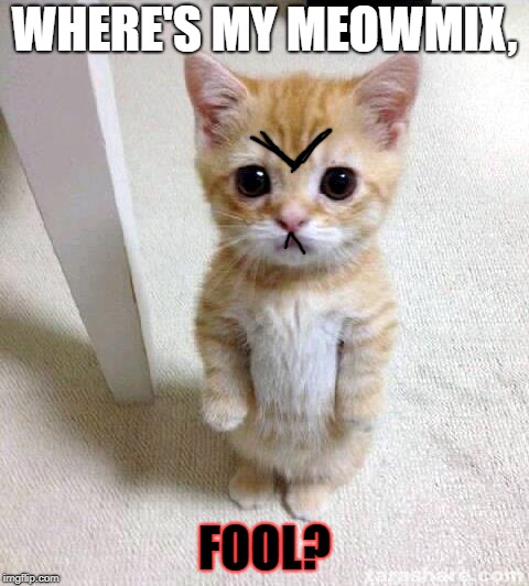 Angry Kitty |  WHERE'S MY MEOWMIX, FOOL? | image tagged in memes,cute cat | made w/ Imgflip meme maker