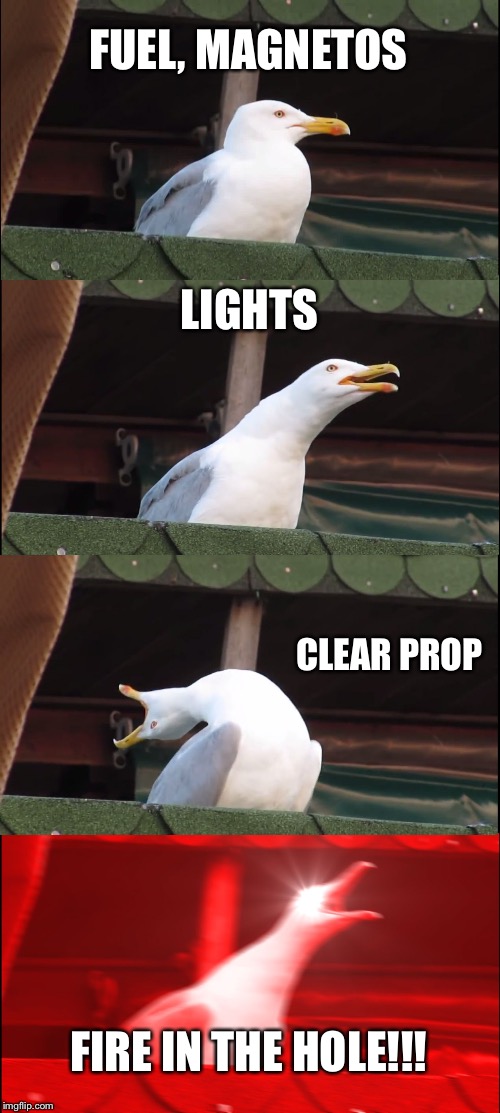 Inhaling Seagull Meme |  FUEL, MAGNETOS; LIGHTS; CLEAR PROP; FIRE IN THE HOLE!!! | image tagged in memes,inhaling seagull | made w/ Imgflip meme maker