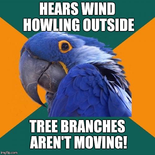 It's just the wind? Not this time. |  HEARS WIND HOWLING OUTSIDE; TREE BRANCHES AREN'T MOVING! | image tagged in memes,paranoid parrot,wind,scary noises,things that go bump in the night,no sleep | made w/ Imgflip meme maker