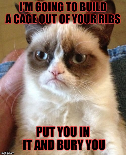 Grumpy Cat Gets Evil | I'M GOING TO BUILD A CAGE OUT OF YOUR RIBS; PUT YOU IN IT AND BURY YOU | image tagged in memes,grumpy cat,funny,evil,halloween | made w/ Imgflip meme maker