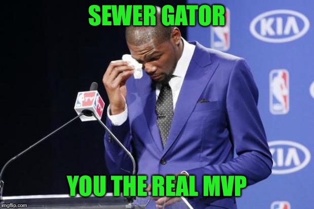 You The Real MVP 2 Meme | SEWER GATOR YOU THE REAL MVP | image tagged in memes,you the real mvp 2 | made w/ Imgflip meme maker