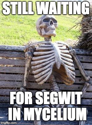 Waiting Skeleton Meme | STILL WAITING; FOR SEGWIT IN MYCELIUM | image tagged in memes,waiting skeleton | made w/ Imgflip meme maker