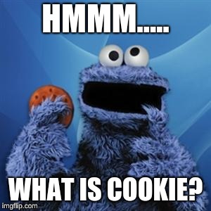 cookie monster | HMMM..... WHAT IS COOKIE? | image tagged in cookie monster | made w/ Imgflip meme maker