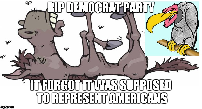 RIP Democratic Party | RIP DEMOCRAT PARTY; IT FORGOT IT WAS SUPPOSED TO REPRESENT AMERICANS | image tagged in democrats,rip | made w/ Imgflip meme maker