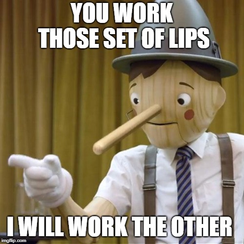 potential pinnochio | YOU WORK THOSE SET OF LIPS I WILL WORK THE OTHER | image tagged in potential pinnochio | made w/ Imgflip meme maker