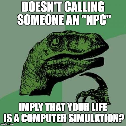 Philosoraptor | DOESN'T CALLING SOMEONE AN "NPC"; IMPLY THAT YOUR LIFE IS A COMPUTER SIMULATION? | image tagged in memes,philosoraptor | made w/ Imgflip meme maker