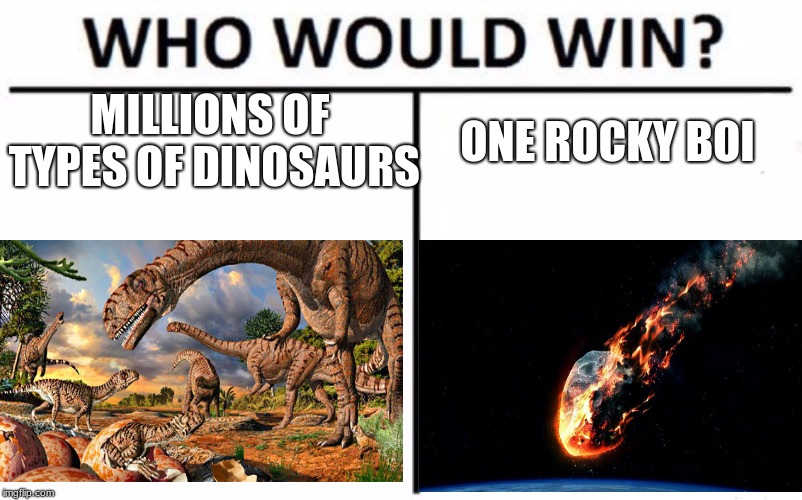 Who Would Win? Meme | MILLIONS OF TYPES OF DINOSAURS; ONE ROCKY BOI | image tagged in memes,who would win | made w/ Imgflip meme maker