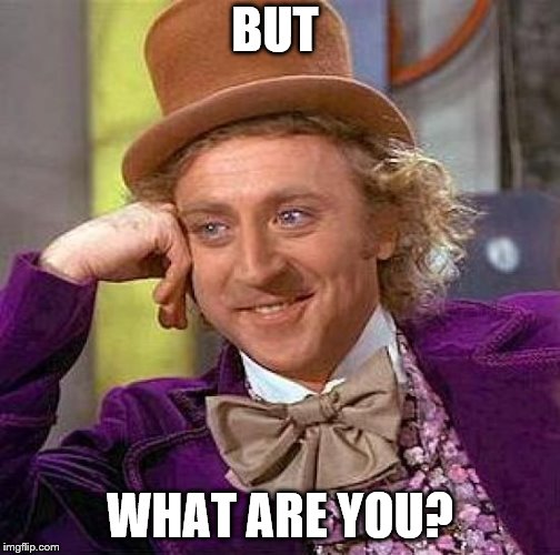 Creepy Condescending Wonka Meme | BUT WHAT ARE YOU? | image tagged in memes,creepy condescending wonka | made w/ Imgflip meme maker