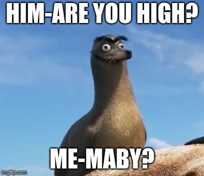 Gerald the Sea Lion | HIM-ARE YOU HIGH? ME-MABY? | image tagged in gerald the sea lion | made w/ Imgflip meme maker