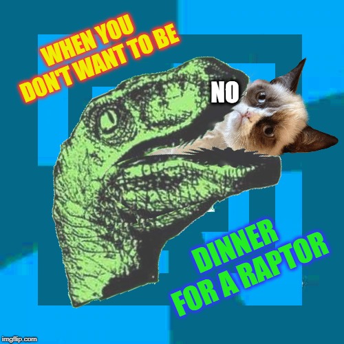 Why can't you just have salad? | WHEN YOU DON'T WANT TO BE; NO; DINNER FOR A RAPTOR | image tagged in grumpy cat not amused,no,philosopher,dinner,it's what's for dinner,cat meme | made w/ Imgflip meme maker