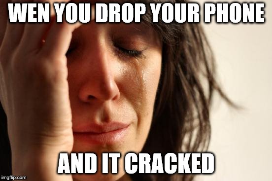 First World Problems | WEN YOU DROP YOUR PHONE; AND IT CRACKED | image tagged in memes,first world problems | made w/ Imgflip meme maker