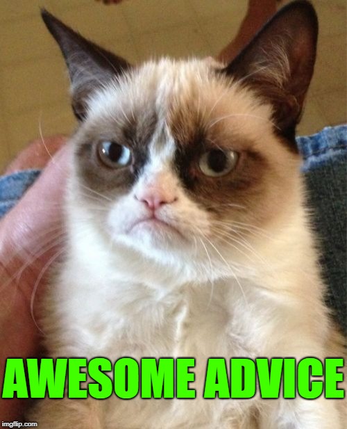 Grumpy Cat Meme | AWESOME ADVICE | image tagged in memes,grumpy cat | made w/ Imgflip meme maker