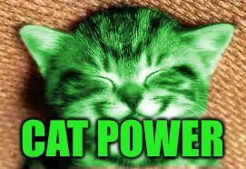 happy RayCat | CAT POWER | image tagged in happy raycat | made w/ Imgflip meme maker