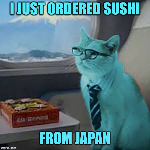 RayCat on Fuji train | I JUST ORDERED SUSHI; FROM JAPAN | image tagged in raycat on fuji train,memes | made w/ Imgflip meme maker
