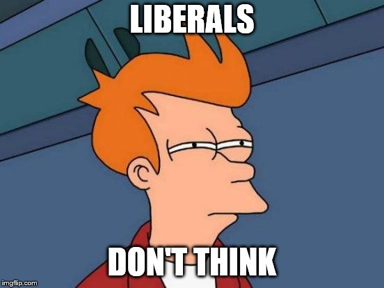 Futurama Fry Meme | LIBERALS DON'T THINK | image tagged in memes,futurama fry | made w/ Imgflip meme maker