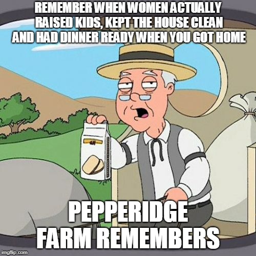Pepperidge Farm Remembers Meme | REMEMBER WHEN WOMEN ACTUALLY RAISED KIDS, KEPT THE HOUSE CLEAN AND HAD DINNER READY WHEN YOU GOT HOME; PEPPERIDGE FARM REMEMBERS | image tagged in memes,pepperidge farm remembers | made w/ Imgflip meme maker