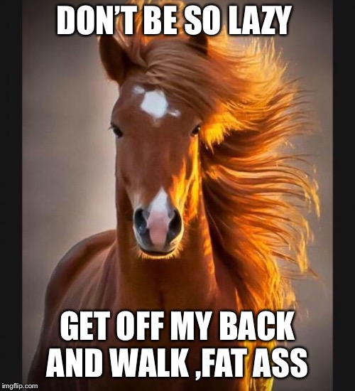 Horse | DON’T BE SO LAZY; GET OFF MY BACK AND WALK ,FAT ASS | image tagged in horse | made w/ Imgflip meme maker