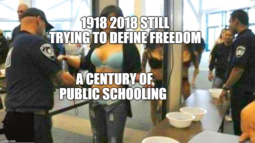 tsa underpants | 1918 2018 STILL TRYING TO DEFINE FREEDOM; A CENTURY OF PUBLIC SCHOOLING | image tagged in tsa underpants | made w/ Imgflip meme maker