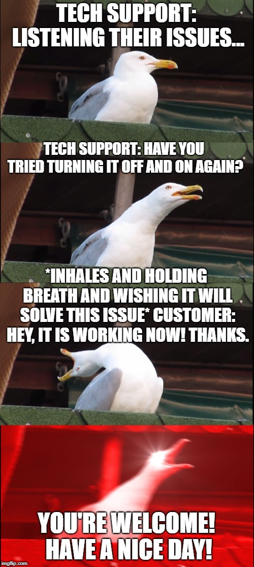 Inhaling Seagull | TECH SUPPORT: LISTENING THEIR ISSUES... TECH SUPPORT: HAVE YOU TRIED TURNING IT OFF AND ON AGAIN? *INHALES AND HOLDING BREATH AND WISHING IT WILL SOLVE THIS ISSUE* CUSTOMER: HEY, IT IS WORKING NOW! THANKS. YOU'RE WELCOME! HAVE A NICE DAY! | image tagged in memes,inhaling seagull | made w/ Imgflip meme maker