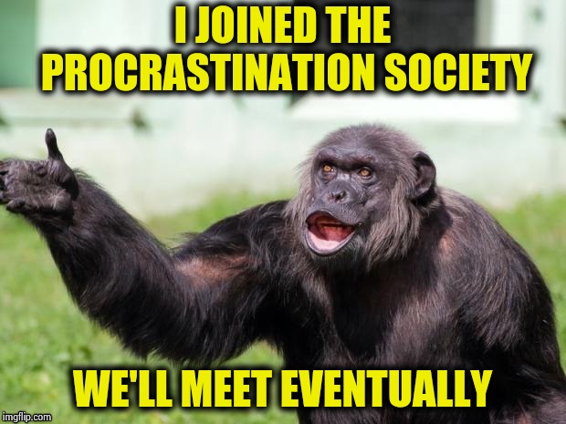 Gorilla your dreams | I JOINED THE PROCRASTINATION SOCIETY WE'LL MEET EVENTUALLY | image tagged in gorilla your dreams | made w/ Imgflip meme maker