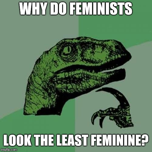 Philosoraptor Meme | WHY DO FEMINISTS; LOOK THE LEAST FEMININE? | image tagged in memes,philosoraptor | made w/ Imgflip meme maker