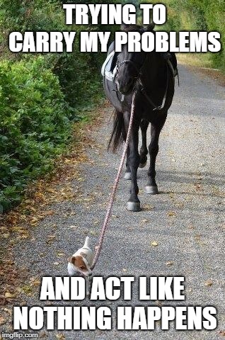 nanny taking dog out for a walk | TRYING TO CARRY MY PROBLEMS; AND ACT LIKE NOTHING HAPPENS | image tagged in problems,cutedog,mylife | made w/ Imgflip meme maker