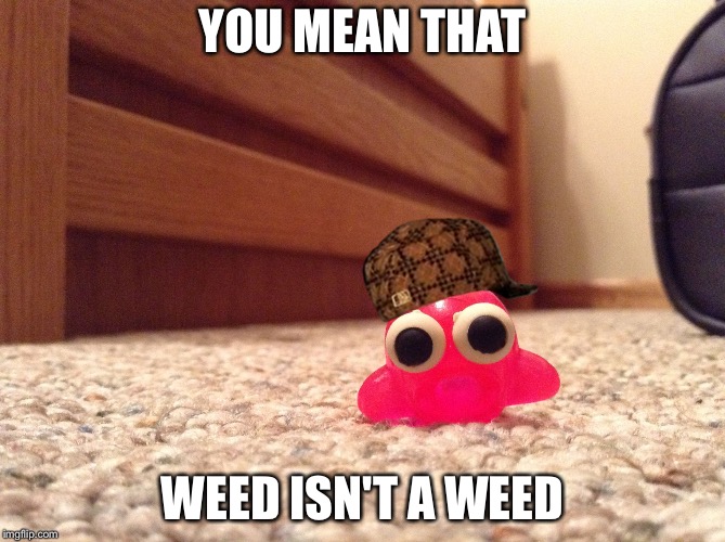 YOU MEAN THAT; WEED ISN'T A WEED | image tagged in you mean that,scumbag | made w/ Imgflip meme maker