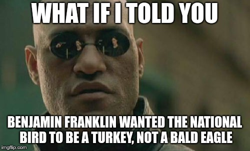 Matrix Morpheus Meme | WHAT IF I TOLD YOU BENJAMIN FRANKLIN WANTED THE NATIONAL BIRD TO BE A TURKEY, NOT A BALD EAGLE | image tagged in memes,matrix morpheus | made w/ Imgflip meme maker