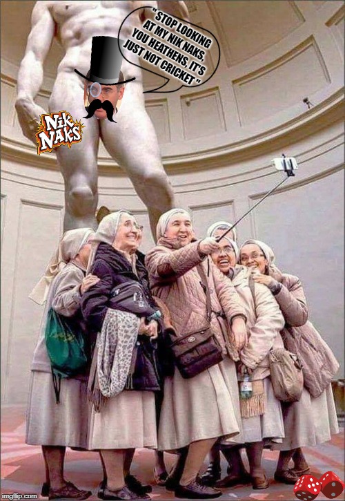 " STOP LOOKING AT MY NIK NAKS, YOU HEATHENS, IT'S JUST NOT CRICKET " | image tagged in nun selfie | made w/ Imgflip meme maker