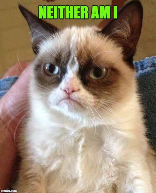 Grumpy Cat Meme | NEITHER AM I | image tagged in memes,grumpy cat | made w/ Imgflip meme maker