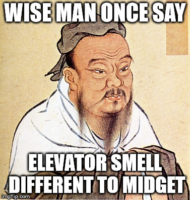 wise confusius |  WISE MAN ONCE SAY; ELEVATOR SMELL DIFFERENT TO MIDGET | image tagged in wise confusius | made w/ Imgflip meme maker