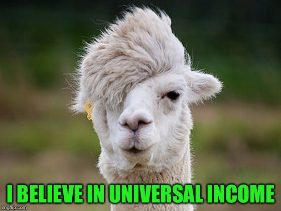 Haircut | I BELIEVE IN UNIVERSAL INCOME | image tagged in haircut | made w/ Imgflip meme maker