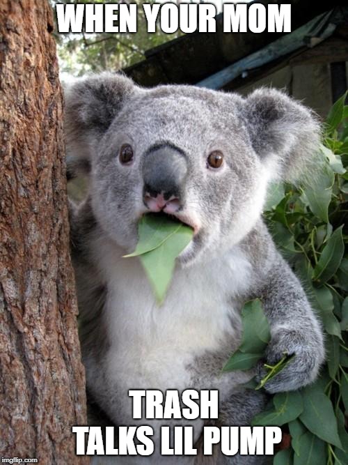 Surprised Koala Meme | WHEN YOUR MOM; TRASH TALKS LIL PUMP | image tagged in memes,surprised koala | made w/ Imgflip meme maker