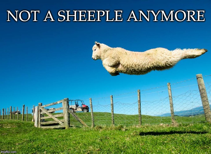 Outside The Fence/Box | NOT A SHEEPLE ANYMORE | image tagged in sheep,sheeple,jump,fence,freedom,leap | made w/ Imgflip meme maker