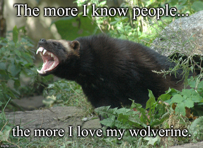 Wolverine | The more I know people... the more I love my wolverine. | image tagged in wolverine | made w/ Imgflip meme maker