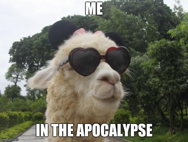 cool llama | ME; IN THE APOCALYPSE | image tagged in cool llama | made w/ Imgflip meme maker