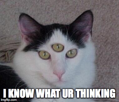 What a nice .... cat | I KNOW WHAT UR THINKING | image tagged in cat,three | made w/ Imgflip meme maker