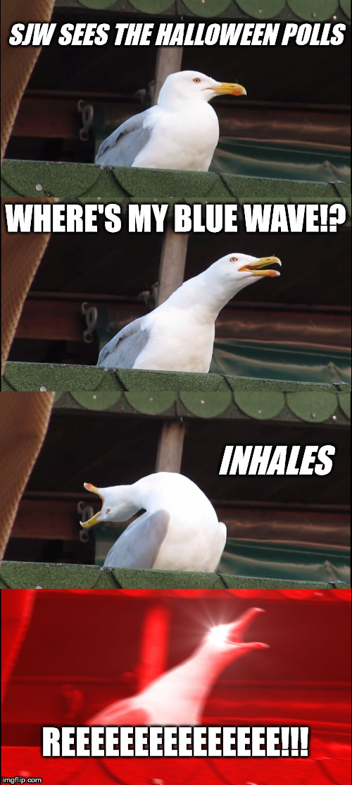 Inhaling Seagull Meme | SJW SEES THE HALLOWEEN POLLS; WHERE'S MY BLUE WAVE!? INHALES; REEEEEEEEEEEEEEE!!! | image tagged in memes,inhaling seagull | made w/ Imgflip meme maker