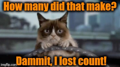 Grumpy cat driving | How many did that make? Dammit, I lost count! | image tagged in grumpy cat driving | made w/ Imgflip meme maker